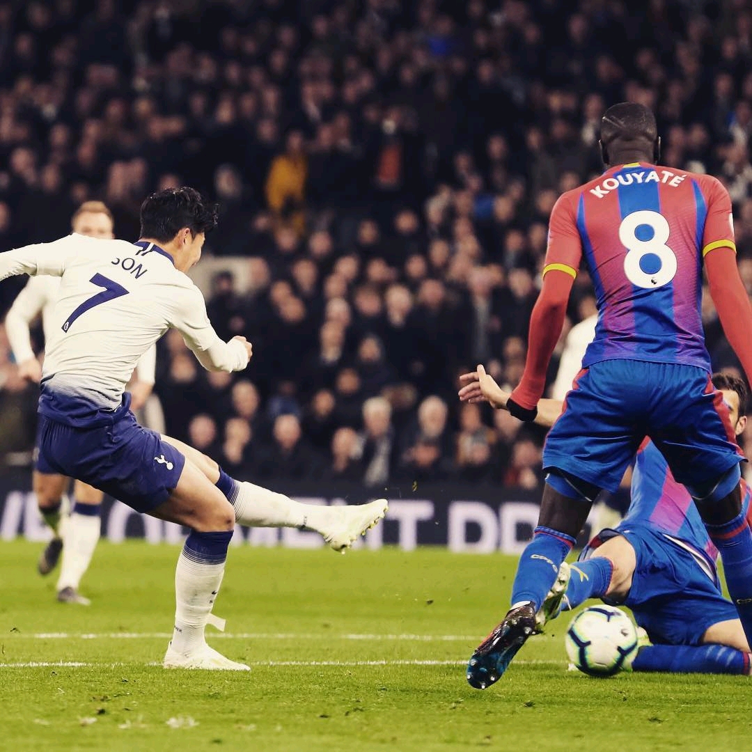 最终张本智 最终张本智